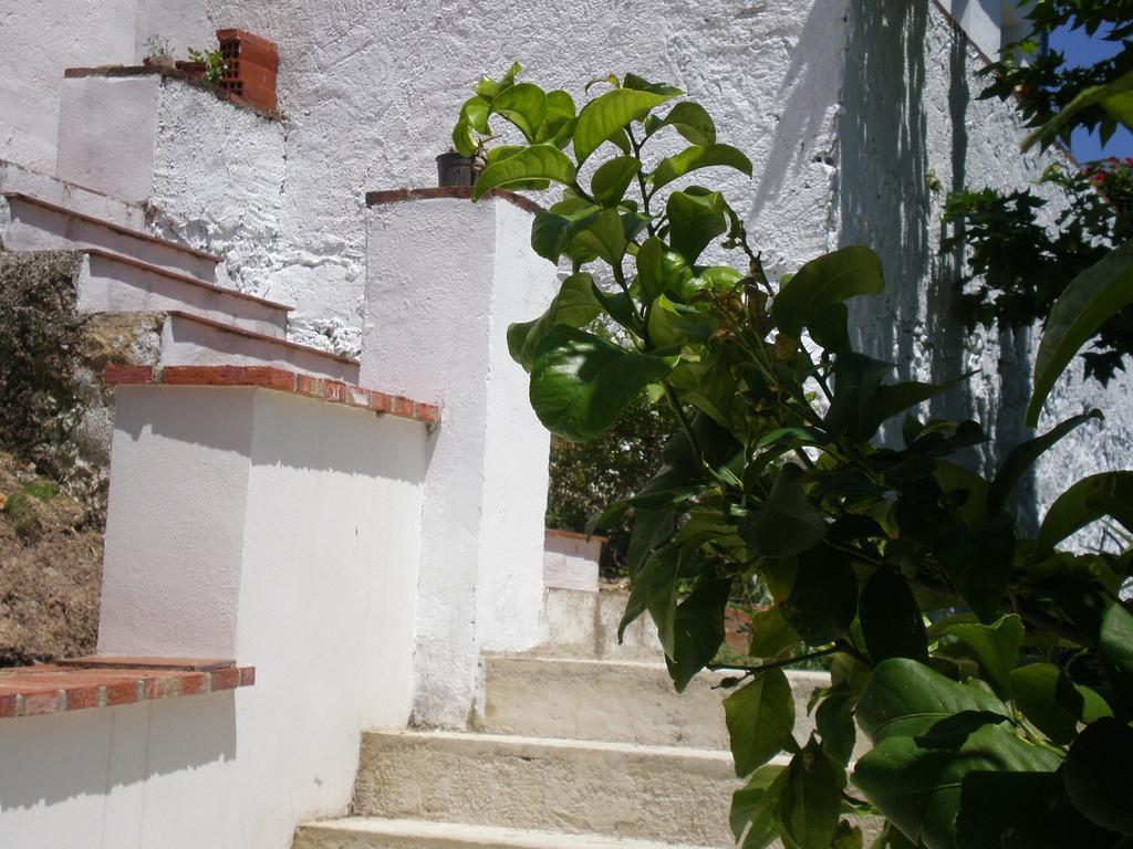 Apartamentos Rurales El Canuelo De Carcabuey Kamer foto